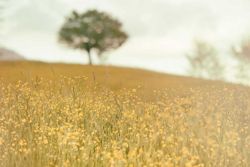 2026'da Doğalgaz Faturalarıyla Nasıl Başa Çıkıyoruz? İşte Durum