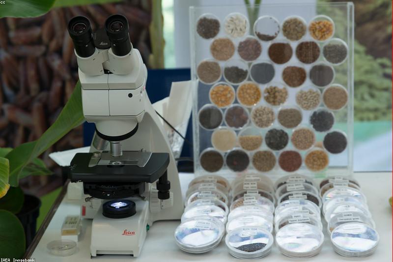 2026 Kışı Gelmeden Petek Temizlik Şart: Daha Az Yakıt, Daha Çok Sıcaklık İçin Ne Yapmalı?