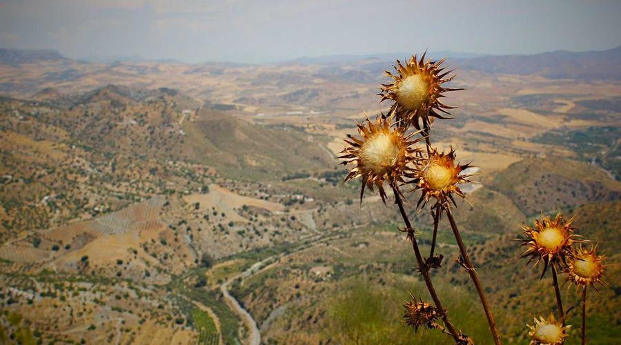 Kalorifer Dediğin Sadece Bir Petek mi? 2026'da Evimi Isıtırken Öğrendiklerim